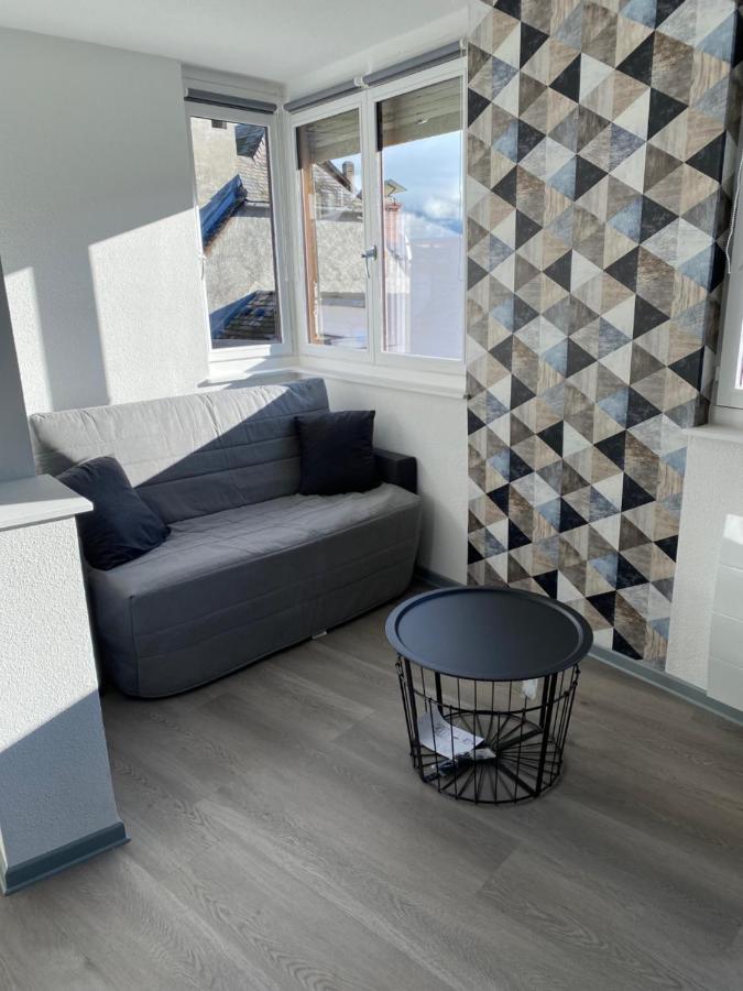 Residence Avec Un T3 Un T2 Et Un Studio En Centre Ville D Argelès-Gazost Buitenkant foto