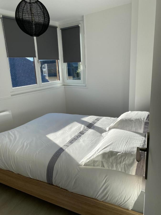 Residence Avec Un T3 Un T2 Et Un Studio En Centre Ville D Argelès-Gazost Buitenkant foto