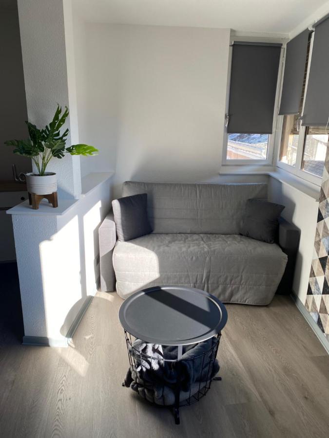 Residence Avec Un T3 Un T2 Et Un Studio En Centre Ville D Argelès-Gazost Buitenkant foto